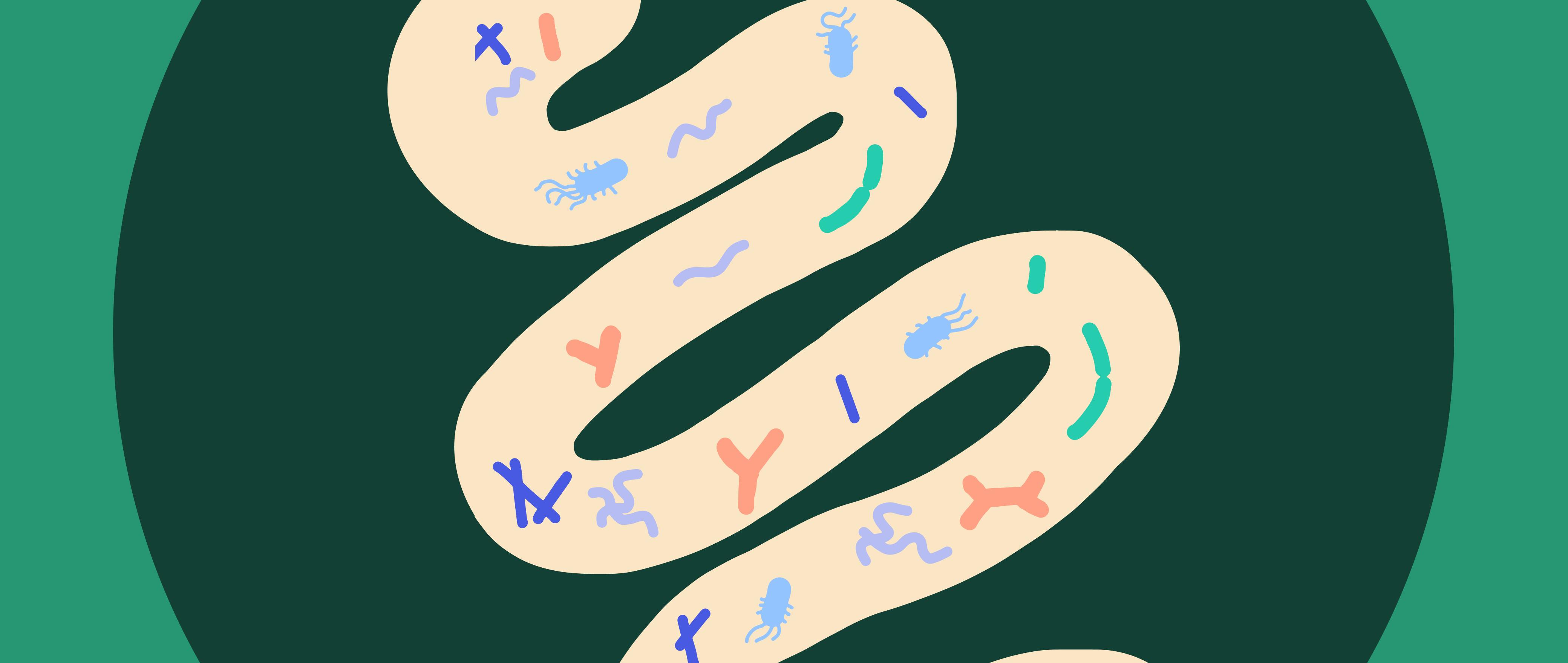 What are Probiotics, and Do You Need Them?