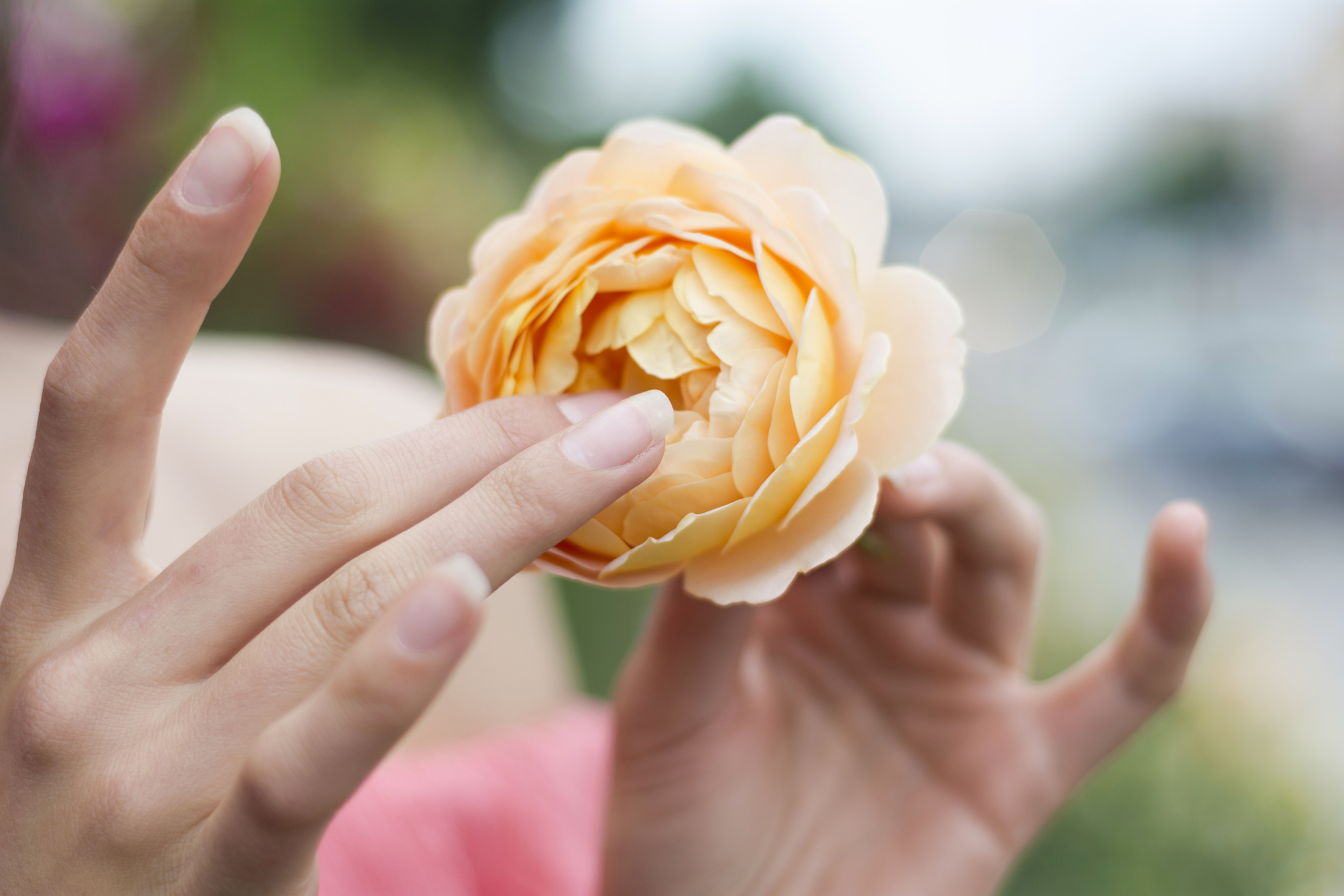 The O Guide: Exploring Female Orgasm and Techniques