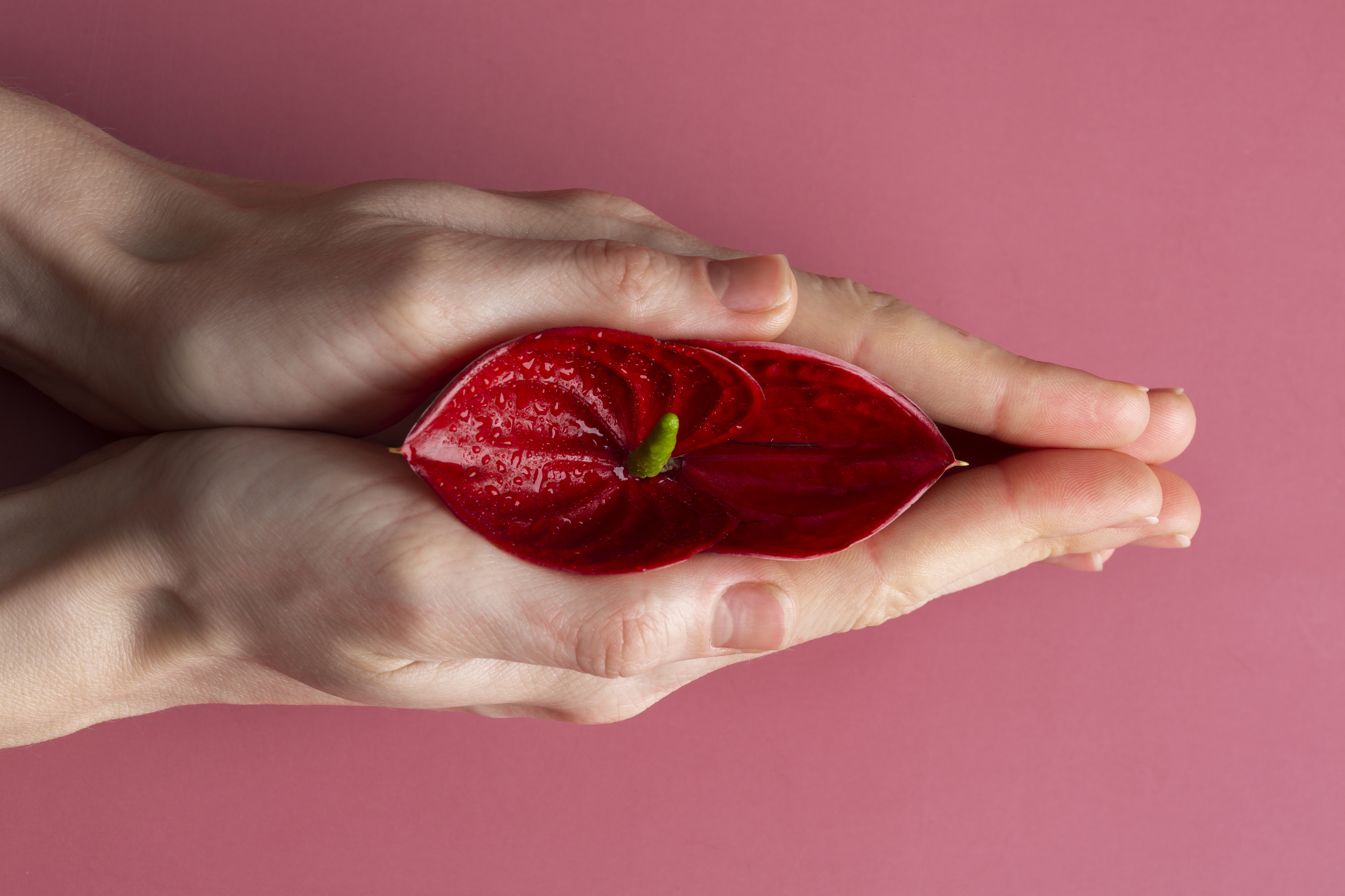 Vaginal Tightness: What Every Woman Should Know