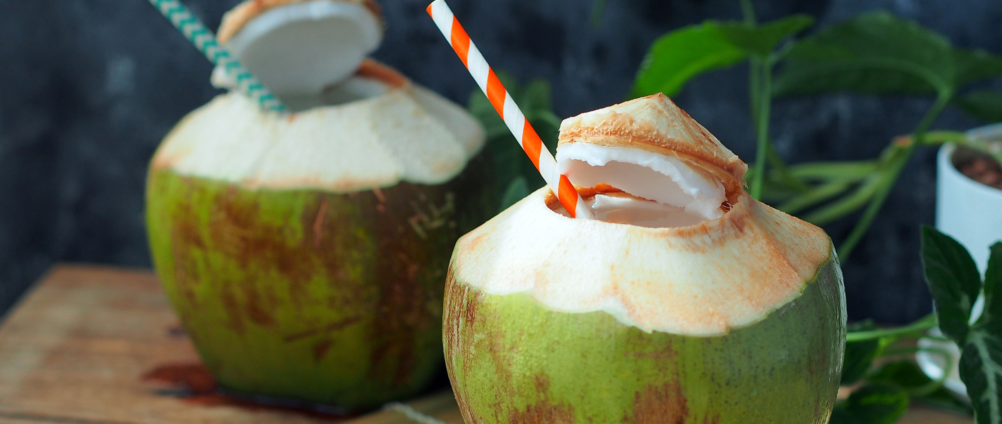Unlocking Coconut Water Benefits – The Natural Elixir For Good Health
