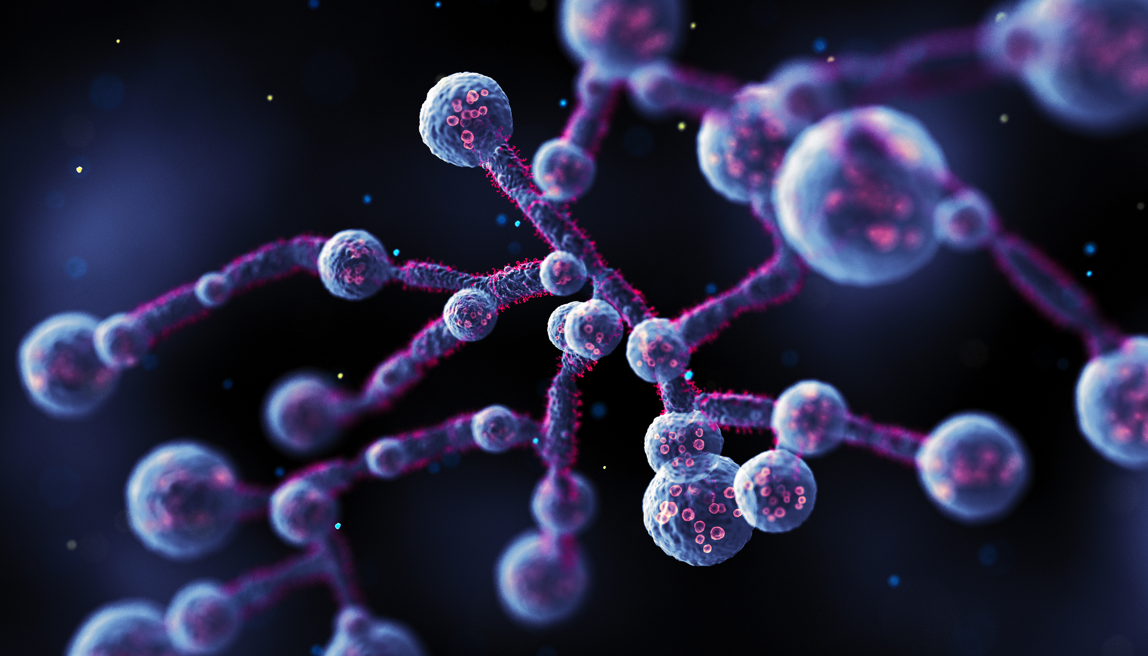 Weak Immune System? Black Fungus Could Become Your Dark Friend