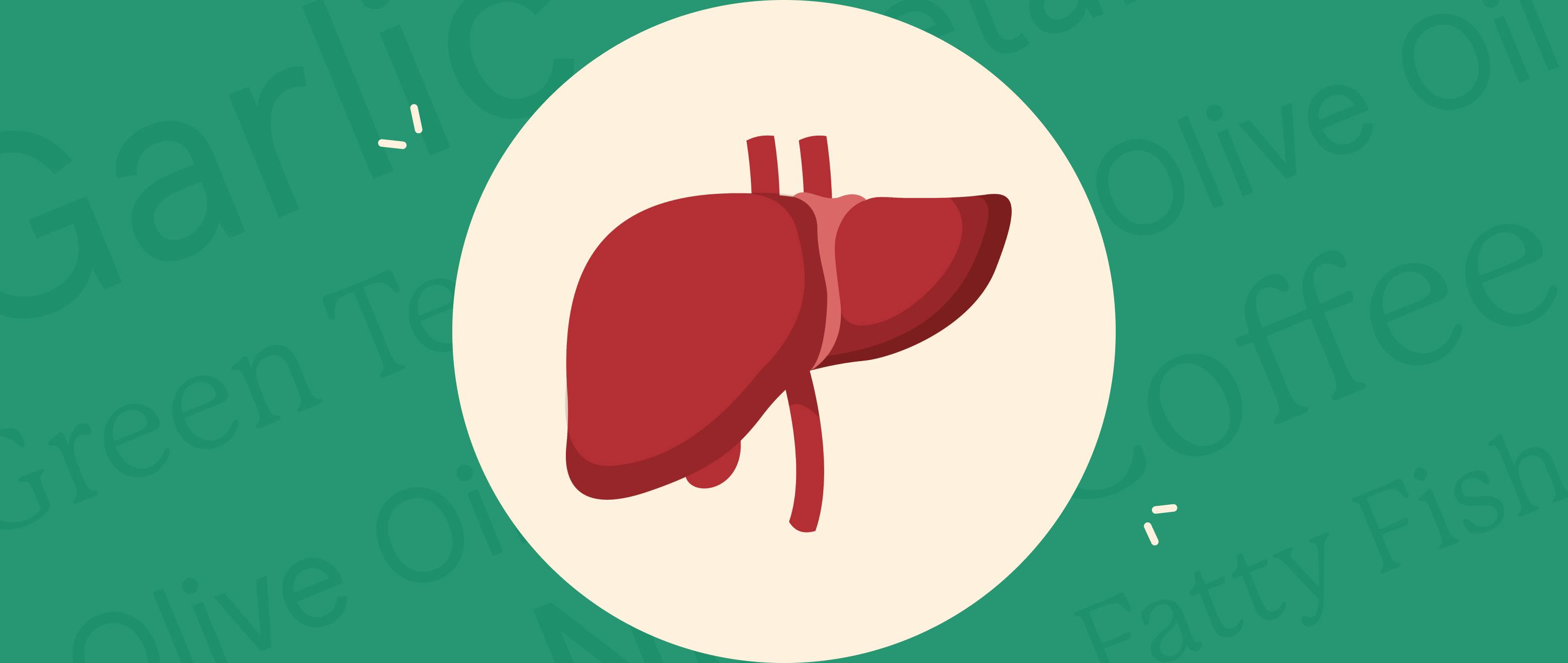 How to Maintain a Strong and Healthy Liver