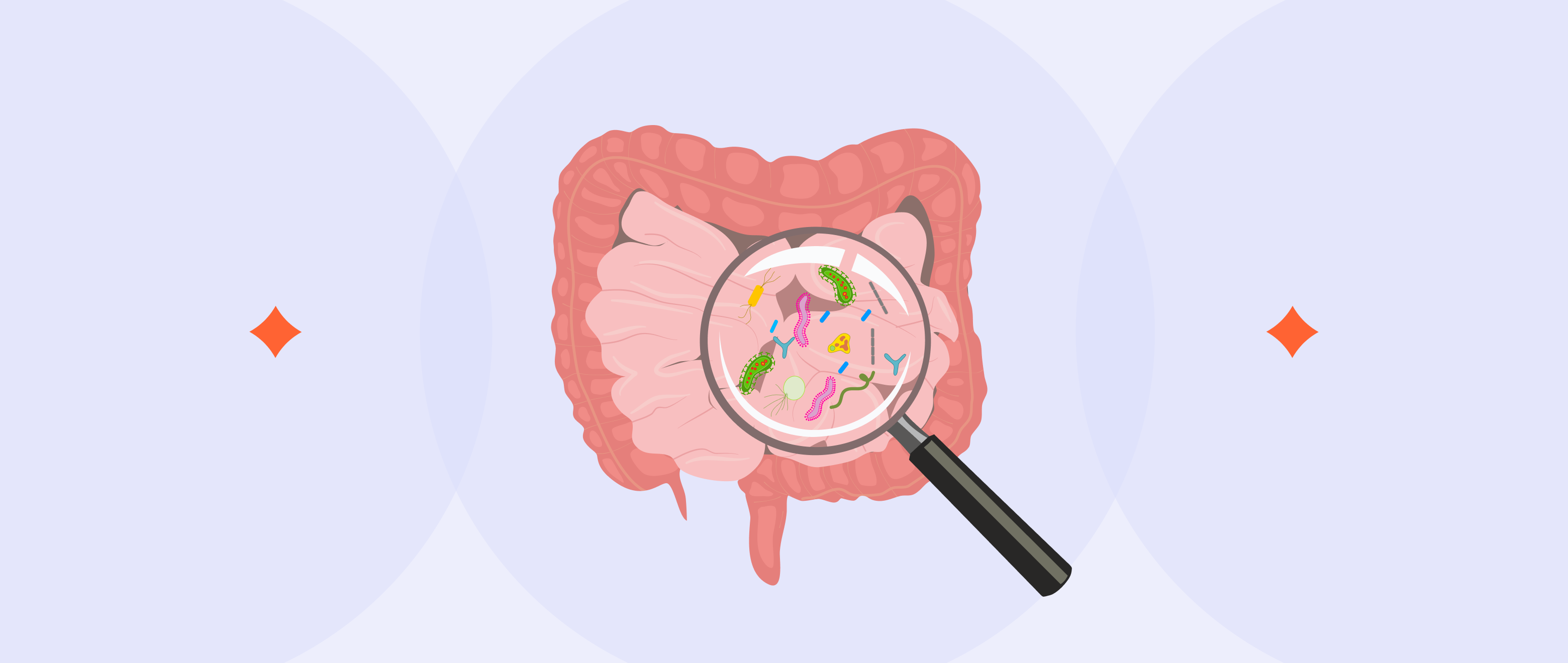 Struggling with Digestion? Here’s What SIBO Could Mean for You