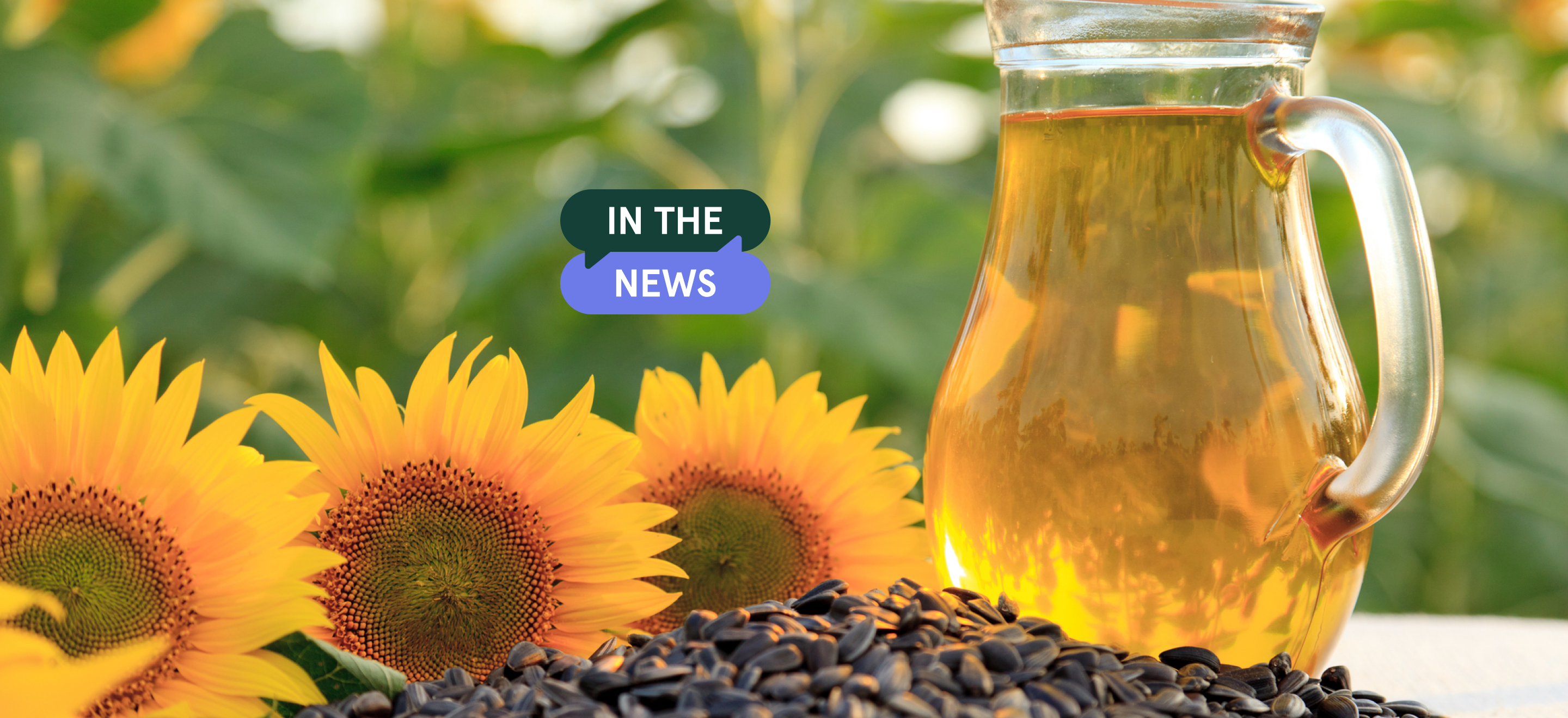 Seed Oils: Are They Really That Bad?