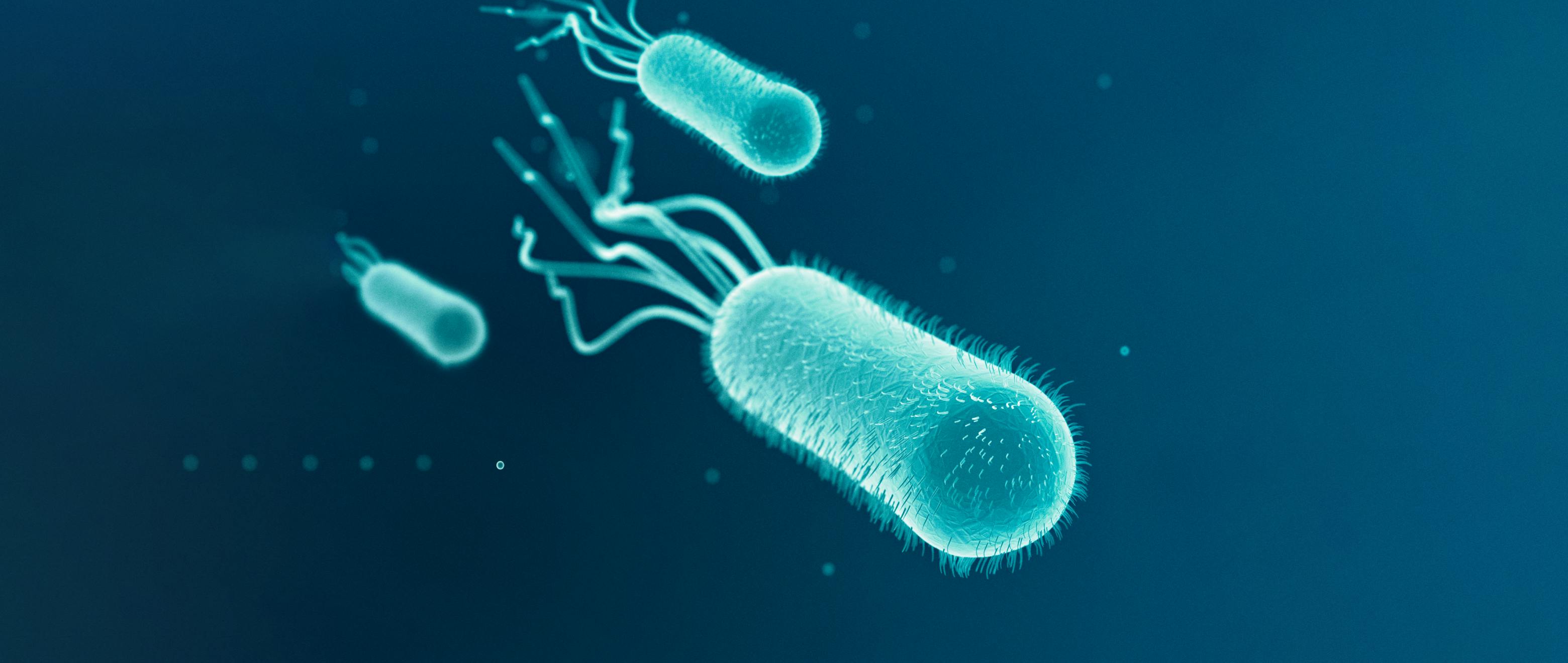 Not Just a Stomach Bug: All About E. coli Infections