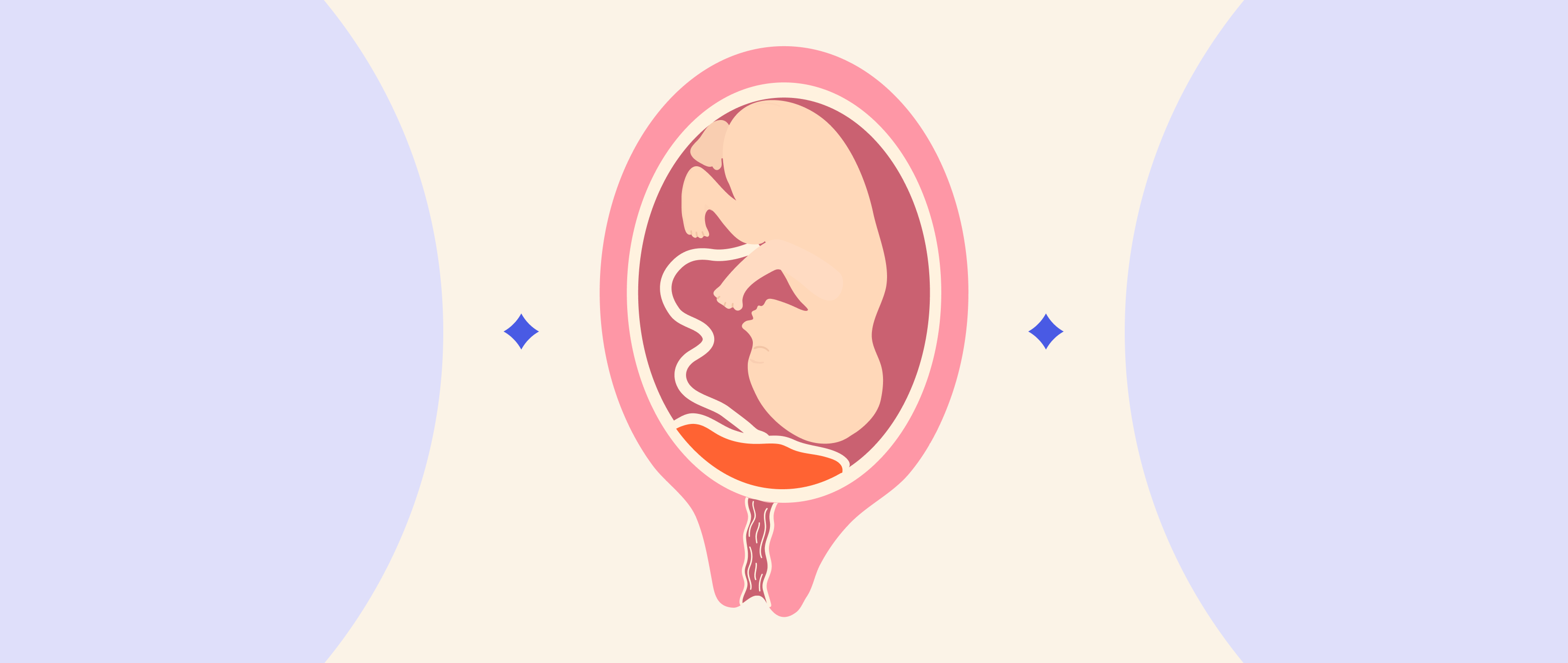 Placenta Praevia: Why Does It Happen During Pregnancy?