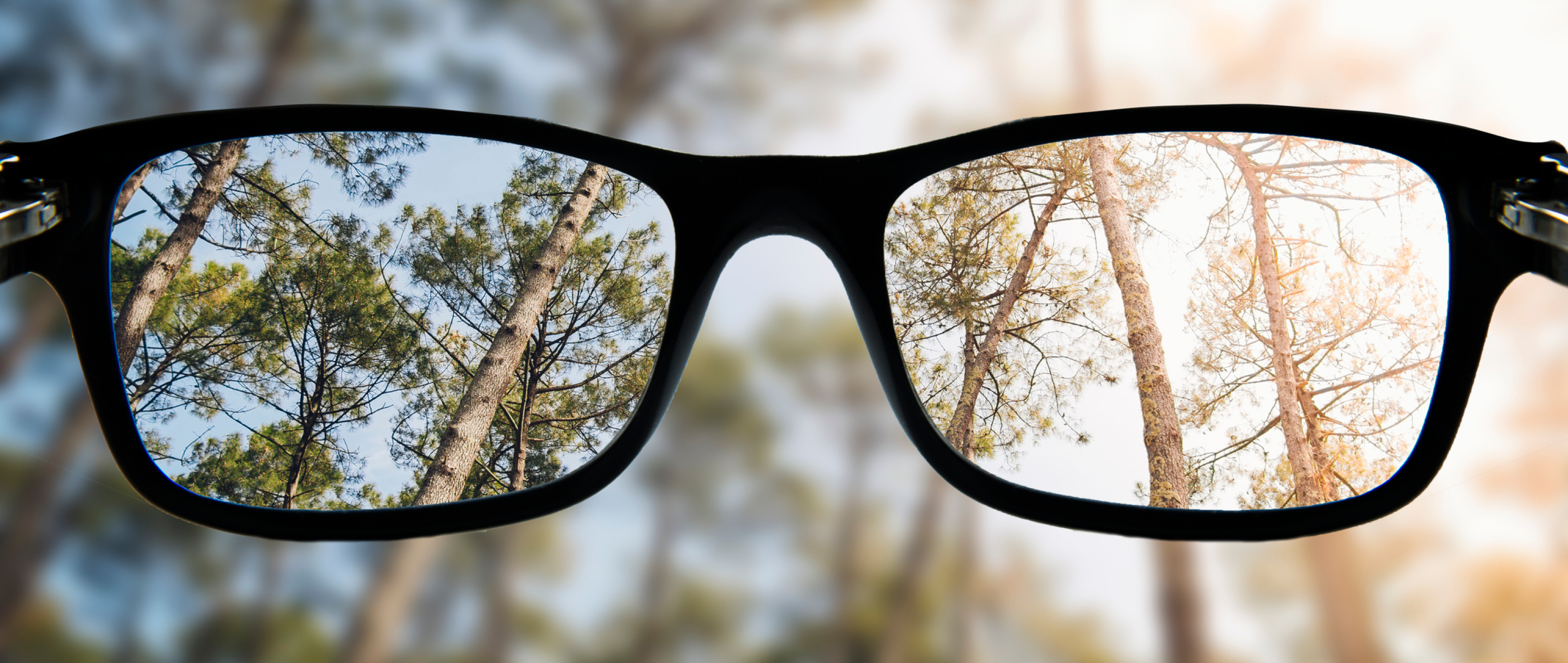 See the Difference: Myopia and Hyperopia Explained