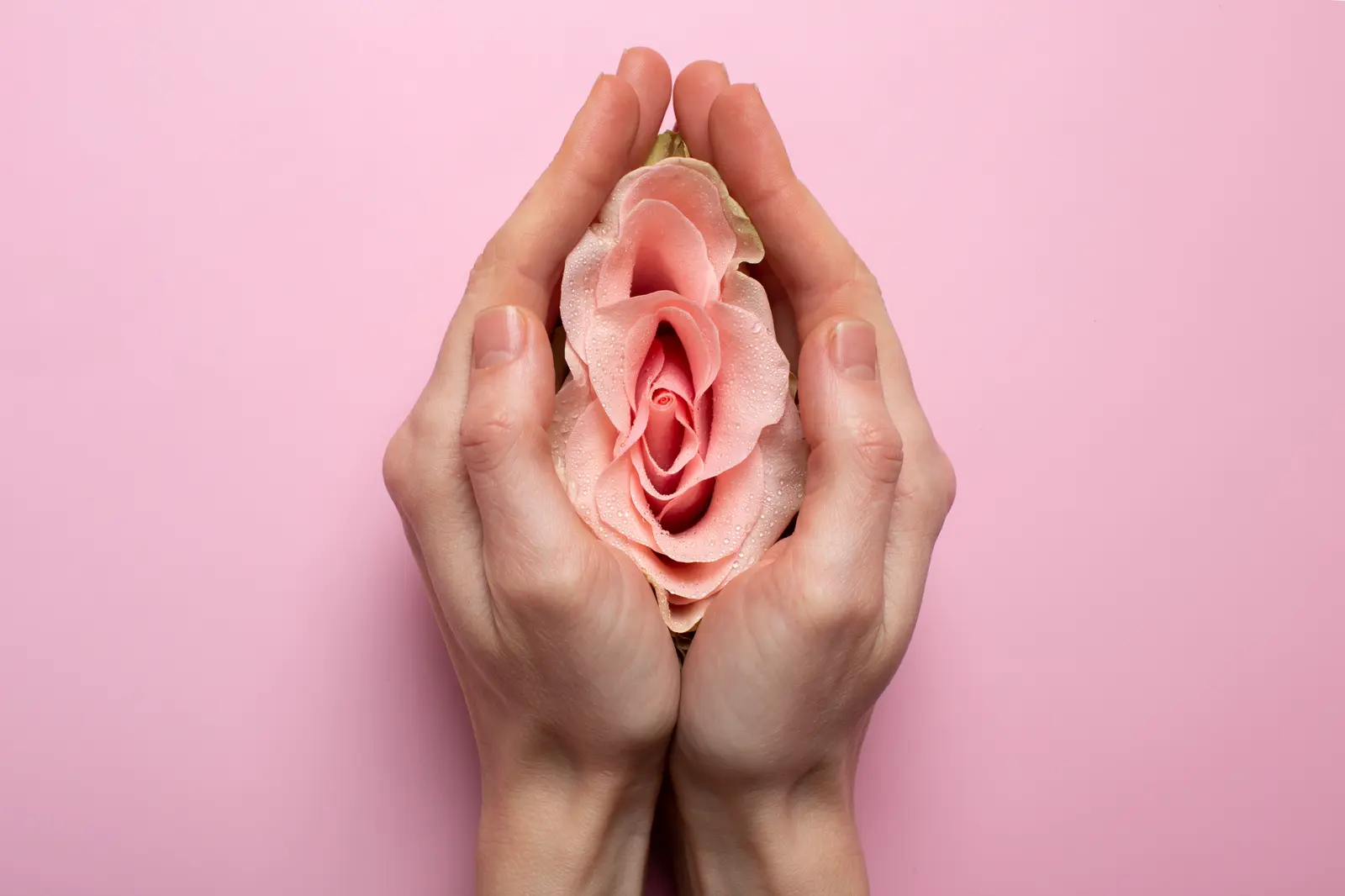 Understanding the Clitoral Hood: Anatomy, Care & More